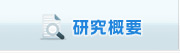研究概要